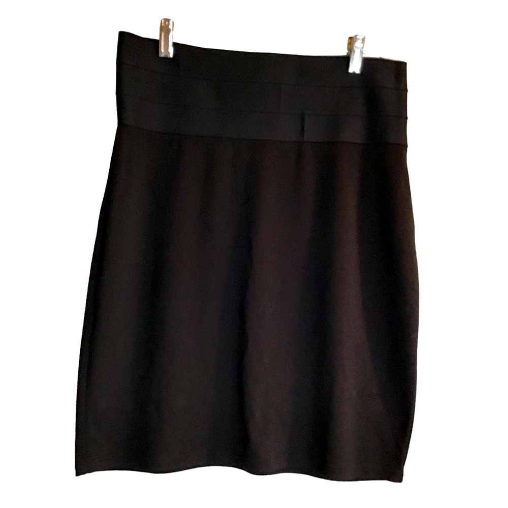Max Studio skirt